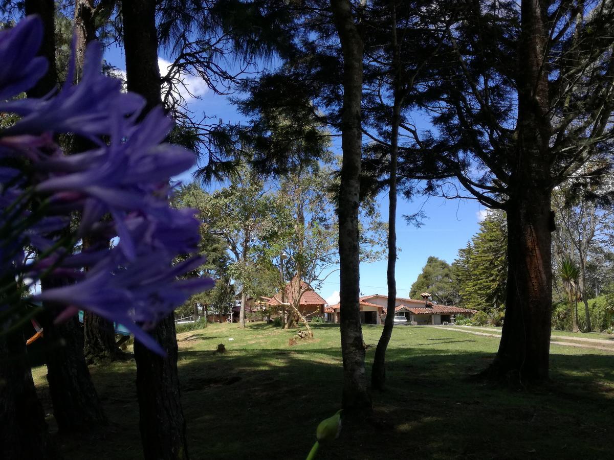 Al Bosque Hostel & Glamping ซานตาเอเลนา ภายนอก รูปภาพ