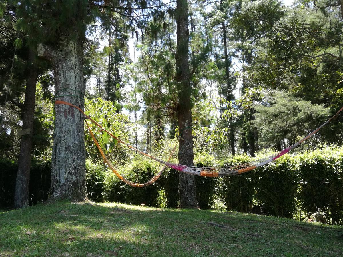 Al Bosque Hostel & Glamping ซานตาเอเลนา ภายนอก รูปภาพ