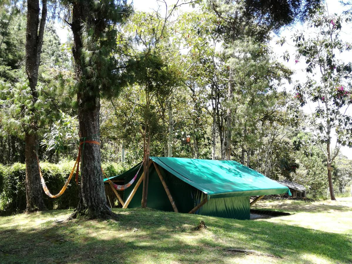 Al Bosque Hostel & Glamping ซานตาเอเลนา ภายนอก รูปภาพ