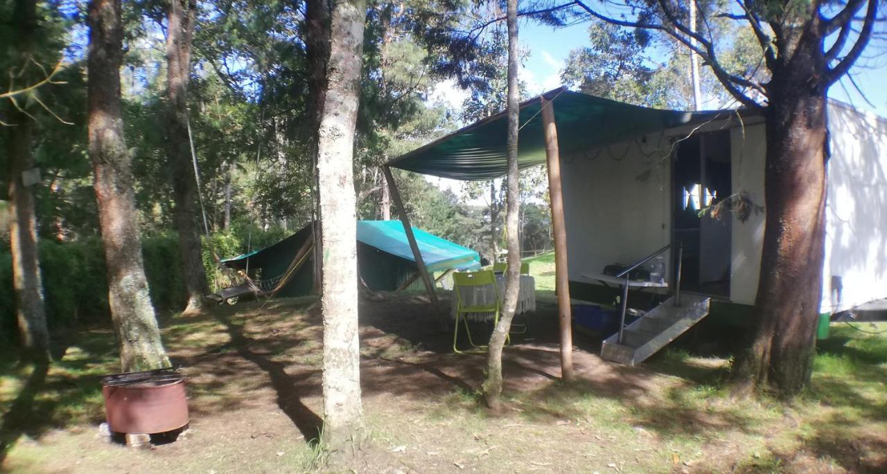 Al Bosque Hostel & Glamping ซานตาเอเลนา ภายนอก รูปภาพ