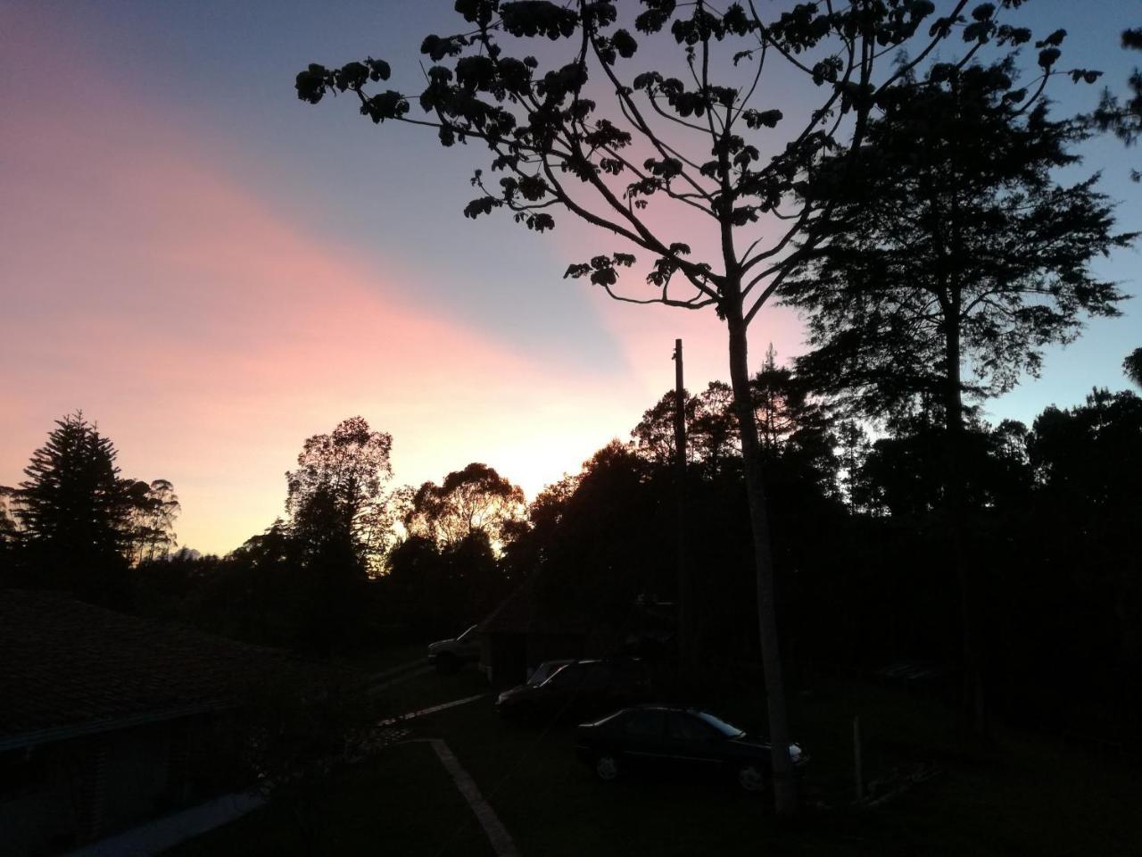 Al Bosque Hostel & Glamping ซานตาเอเลนา ภายนอก รูปภาพ
